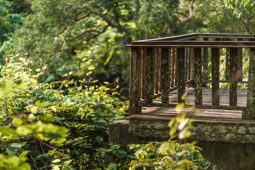 Close up shot of balcony in heart of jungle with nature background. Balcony view in sacred monkey forest sanctuary