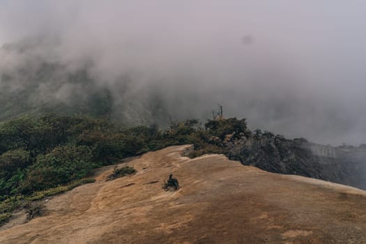 Landscape desert mountain with vegetation in the fog. Misty tropical nature landmark view