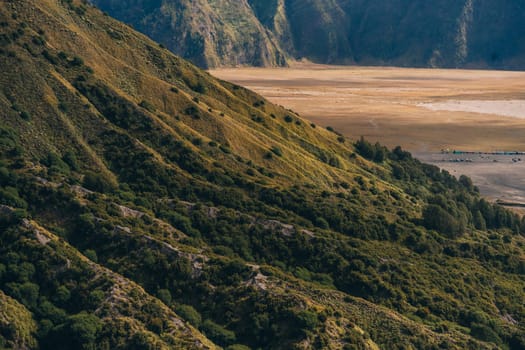 Close up view of Bromo Mount texture with savanna vegetation. Rocky lava with plants, Bromo savanna field