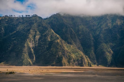 Landscape view of Bromo hills covered with vegetation. Bromo savanna field, Indonesian mount volcano view