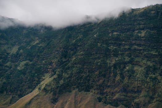 Close up shot of Bromo savanna and hills. Bromo mount vegetation, Semeru National Park desert