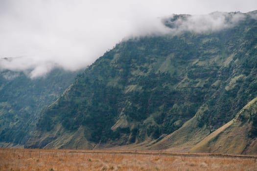 Close up shot of Bromo savanna and hills. Bromo mount vegetation, Semeru National Park desert