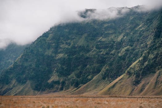 Close up shot of Bromo hills in fog. Foggy Bromo mount volcano, tropical savanna and desert vegetation