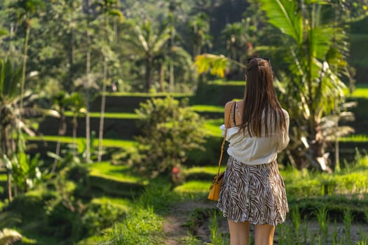 Back view of young stylish lady with rice terrace background. Discovering balinese agriculture and paddy fields