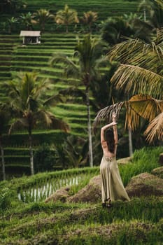 Stylish lady in green sexy dress on footpath rice terrace. Young elegant lady admiring evergreen balinese nature