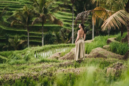 Amazing view of walking girl on rice terrace with water. Stylish girl admiring rice plantation