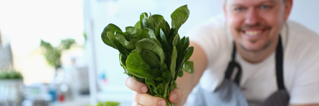 Man cook holds fresh green sorrel salad on kitchen with vegetables. Cooking vegetarian meals for every day concept