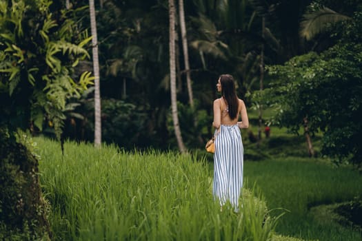 Back view of elegant girl wearing long dress in rice field. Young lady admiring rice plantation