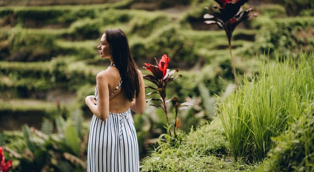 Close up shot of back view standing girl with rice terrace background. Young lady in white striped dress on paddy field