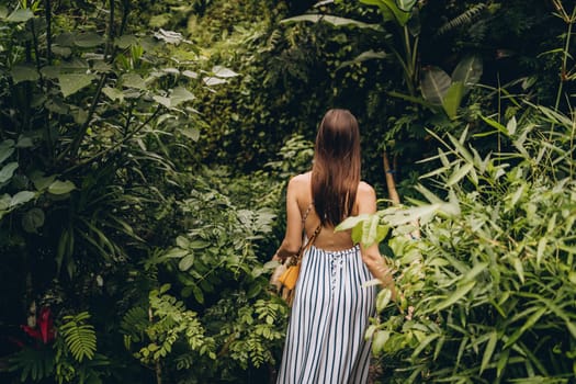 Back view of elegant girl wearing long dress in rice field. Young lady admiring rice plantation