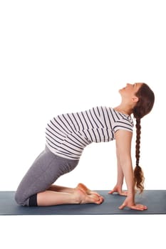 Pregnancy yoga exercise - pregnant woman doing yoga asana Ustrasana Camel Pose isolated on white background