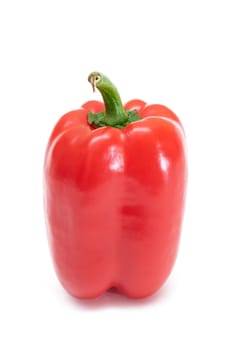 Red Sweet Bell Pepper Isolated on White Background