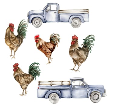Watercolor drawing cock and truck. Hand drawn rooster, artistic painting illustration of fowl. Watercolor illustration of hen. Perfect for wedding invitation, greetings card, posters.