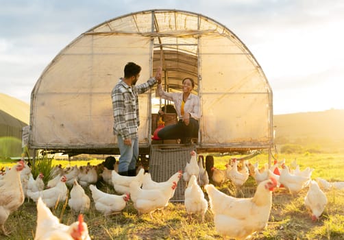 Chicken farmer, countryside farm and sustainable agriculture livestock farming for healthy egg harvest sustainability. Modern couple in nature, animal planning and organic agricultural poultry health.