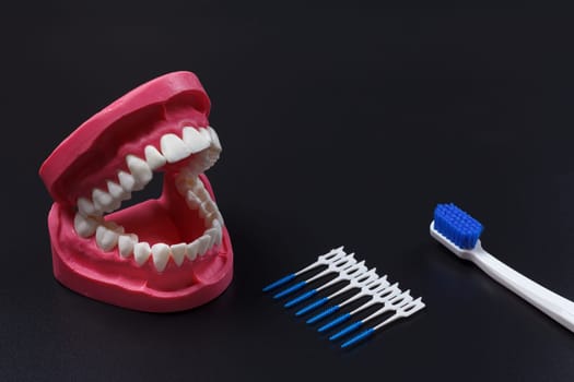 Layout of the human jaw with a toothbrush and interdental toothpick brushes on the black background.