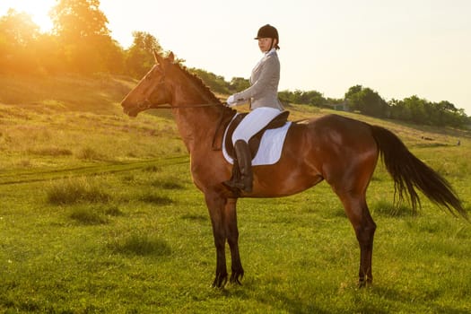 Young woman riding a horse on the green field. Horseback Riding. Competition. Hobby