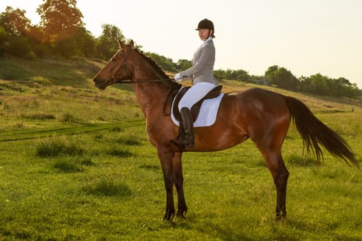 Young woman riding a horse on the green field. Horseback Riding. Competition. Hobby