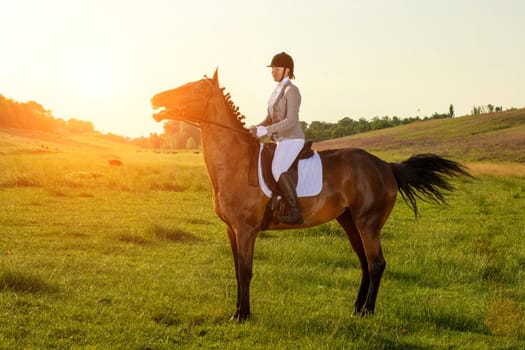 Young woman riding a horse on the green field. Horseback Riding. Competition. Hobby