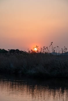 sky,afterglow,atmosphere,vertebrate,ecoregion,water,cloud,plant,bird,marsh,nature,wetland,wildlife