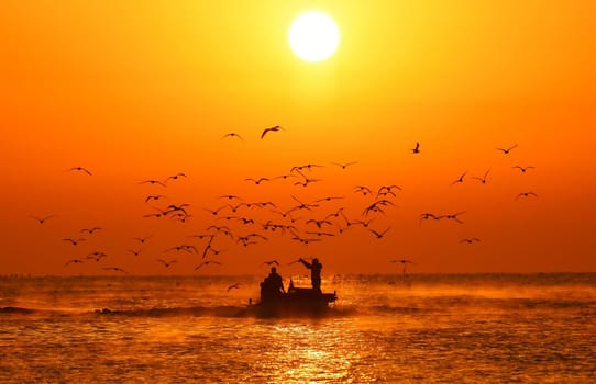 sky,afterglow,dusk,vertebrate,watercraft,ecoregion,water,light,bird,blue,calm,flock,horizon,ocean,sea,seabird