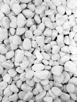 pattern,superfood,rock,gravel,pebble,symmetry,plant,monochrome,font,cobblestone