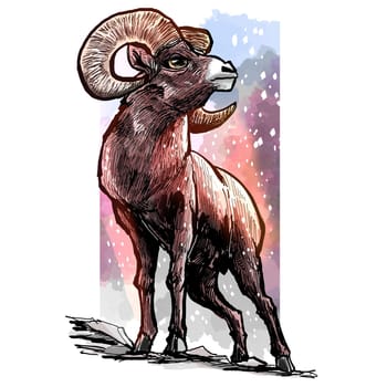 art,working,animal,bighorn,terrestrial,horn,argali,painting,illustration,sheep,goats