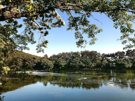 sky,natural,landscape,environment,tree,vegetation,fluvial,landforms,of,streams,water,lacustrine,plain,plant,lake,bank,nature,reflection,river