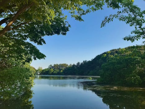 sky,natural,landscape,tree,fluvial,landforms,of,streams,water,cloud,resources,lacustrine,plain,plant,lake,bank,green,nature,reflection,river,vegetation