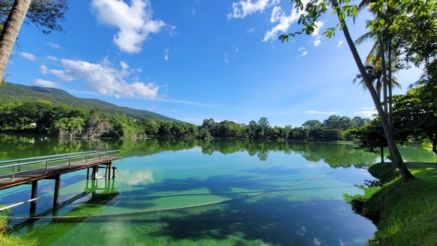 cloud,green,lake,morning,nature,reflection,river,sky,tree,water