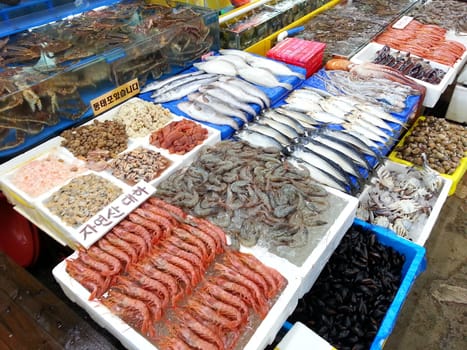 fish,food,market,pattern,seafood,textile,thread,wool
