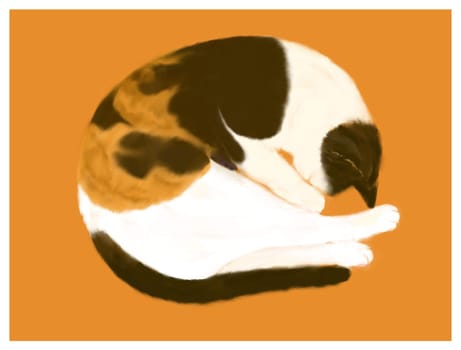 sleeping,cat