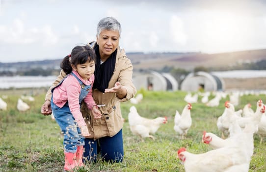 Family, farming and chicken, grandmother and child on farm in Mexico, feeding livestock with poultry and agriculture. Senior woman, girl and farmer on field in countryside, nutrition and sustainable.
