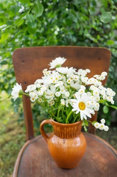 Beautiful chamomile flowers on a wooden rural chair against the backdrop of a green garden. Summer atmosphere, simple home decor in the countryside. Slow life, enjoy