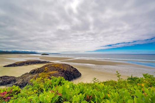 View over Pacific ocean long beach near Tofino, British Columbia, Canada.