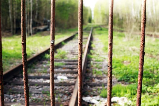 An abandoned old railway in the middle of the forest