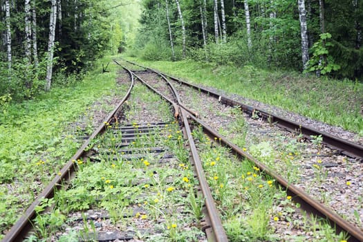 An abandoned old railway in the middle of the forest