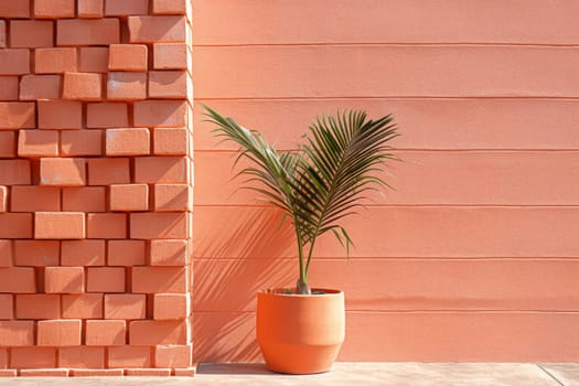 Background for your product. Plastered wall, plant and shadows