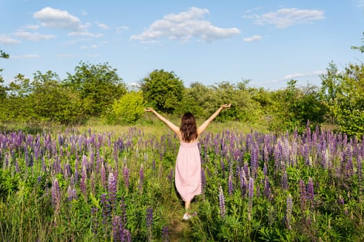A beautiful young girl stands with her back in a field with purple lupins in a long dress and raises her hands up