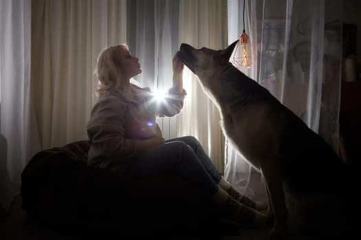 Silhouette and shadow of adult mature woman of 40-60 in warm sweater with big shepherd dog. Room with dark evening atmosphere with transparent curtains on window. Concept of love for animals and pet