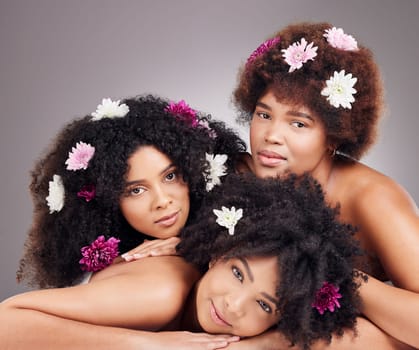 Hair care, friends and portrait of black women with flowers in studio isolated on gray background. Floral cosmetics, organic makeup and face of group of girls with flower for beauty and aesthetic