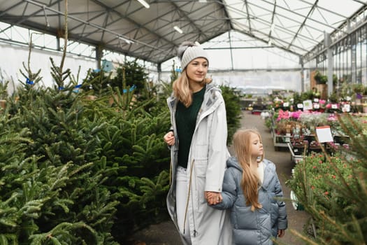 Mother and daughter choose a Christmas tree in the market.