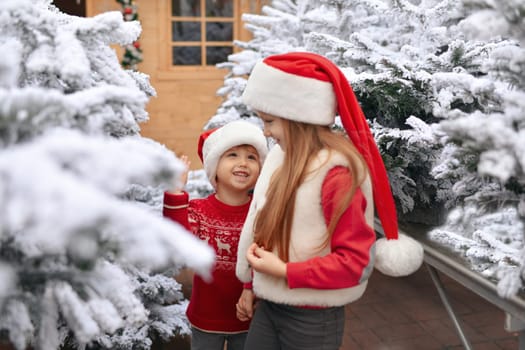 Children choose a Christmas tree at a market.