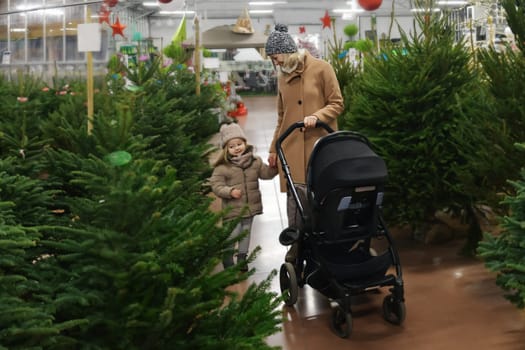 Mother and daughter choose a Christmas tree in the market.