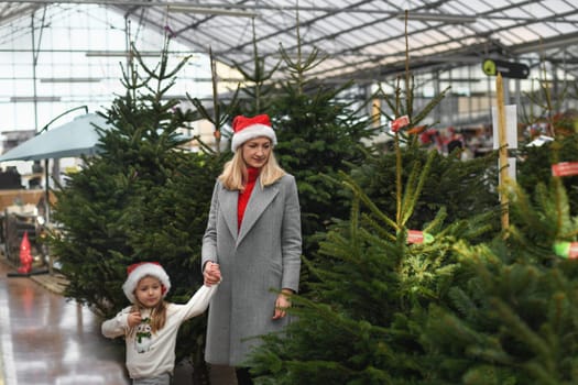 Mother and daughter choose a Christmas tree at a market.