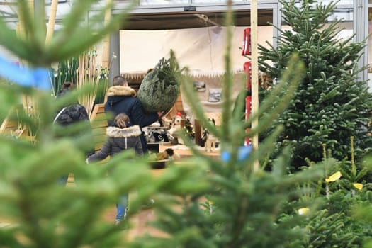The family bought and dragged a Christmas tree