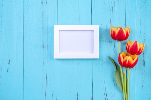 Tulip flower bunch, photo frame, Mother's Day Concept - Beautiful Red, yellow bouquet, white blank picture template isolated on blue wooden background, top view, flat lay