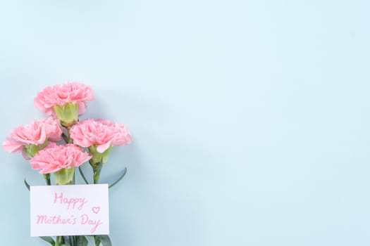 Beautiful, elegant pink carnation flower over bright light blue table background, concept of Mother's Day flower gift, top view, flat lay, overhead