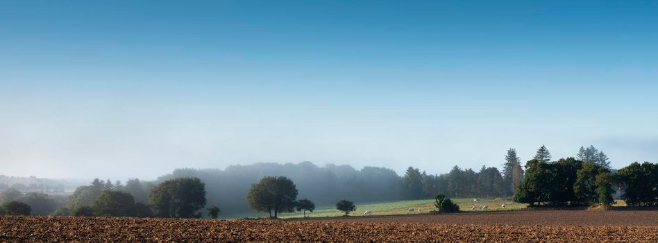 rural countryside landscape of central brittany near Parc naturel régional d'Armorique on early misty summer morning in france