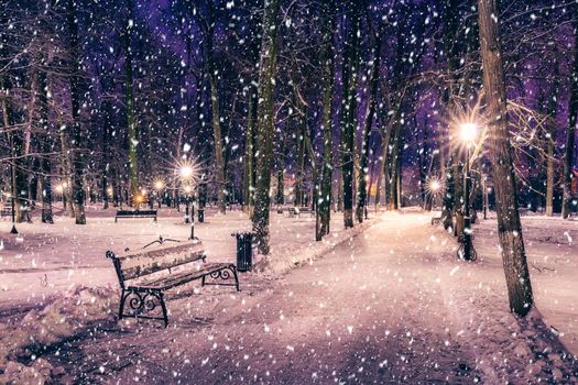 Snowfall in a winter park at night with christmas decorations, lights and  pavement covered with snow. Falling snow.