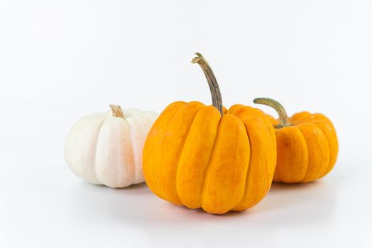 Halloween Pumpkin isolated on white background